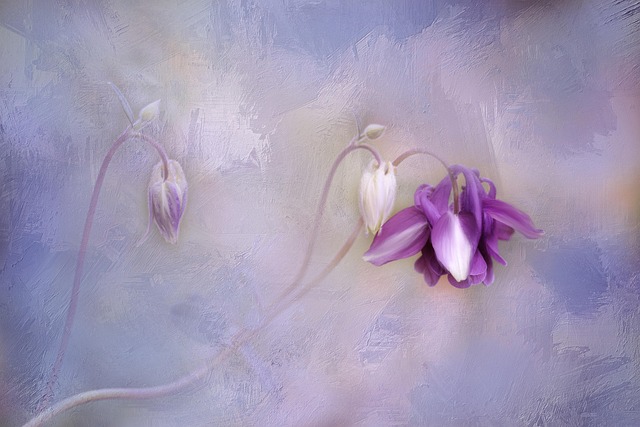 Kumru’da Doğa Yürüyüşleri ve Eko-Turizm