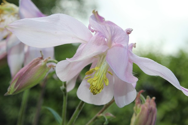 Kumru'da Kadın Girişimcilere Destek Programları
