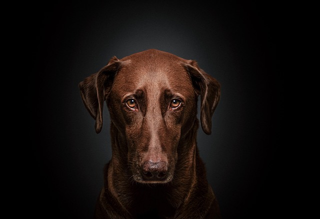 Kumru’da Yerel Yönetimden Yeni Hizmetler