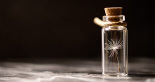 Turgutreis’te Doğa Koruma Projeleri ve Faaliyetleri